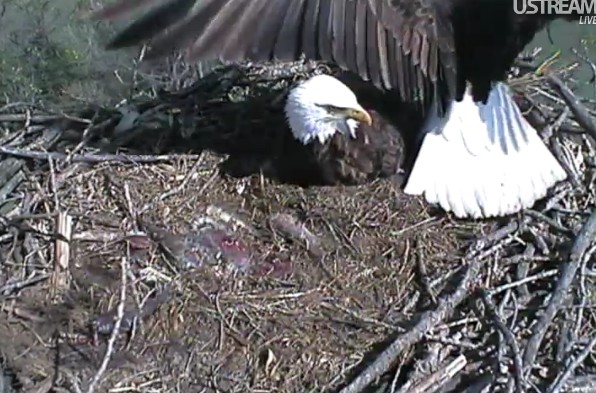 ScreenHunter_08 Apr. 01 13.47.jpg